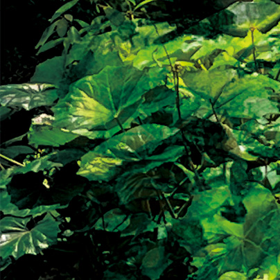 ANBD2024特別展用